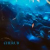 Fuaim Mix 033 | Cherub DJ mix artwork - Electronic music tracklist cover image