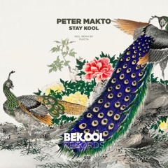 Peter Makto - Stay Kool (Plecta Remix)