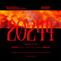 20244 (feat. Mishu G)