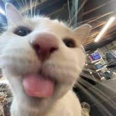 chivas - nóż motylkowy feat. white2115 (Nightcore)