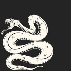 serpente eletro automotivo