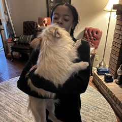 ><