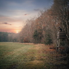 Adagio in Haze Minor