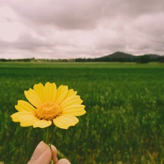 Медитация Себелюбов