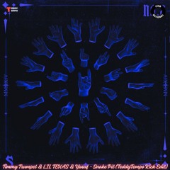 Timmy Trumpet & LIL TEXAS & Yosuf - Snake Pit (TeddyTempo Kick Edit)