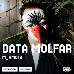 Data Molfar - Hybrid Mix - 019