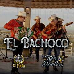 El Bachoco (En vivo)