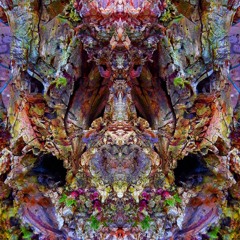 🜂 Onirical Convolutions 🜂 (Psytrance DJ Sets)