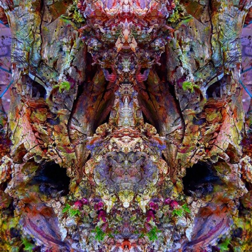 (Psytrance) 🜂 Onirical Convolutions 🜂 (DJ Sets)