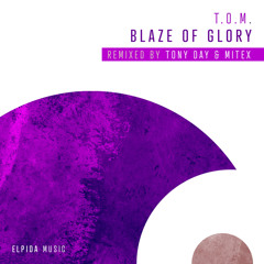 Blaze of Glory (Tony Day Remix)