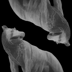 Gottfried | Hard Trap Beat | Dark Trap Beat