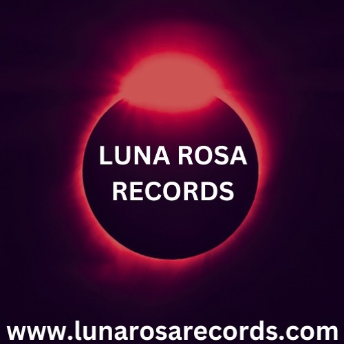 Vincenzo Luna - Amazon (Original Mix)