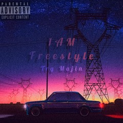 1 AM Freestyle - Trg majin