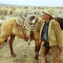 08 - The Green Horn (The Zebra Dun) - Hank Sr