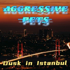 Dusk in Istanbul