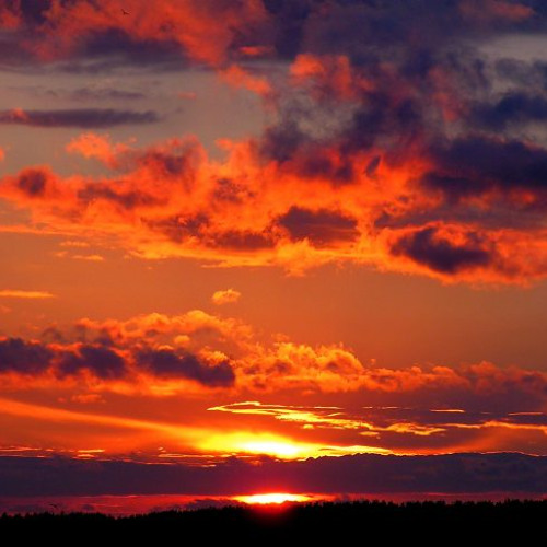 余辰曜作品集(點擊圖片即可)
