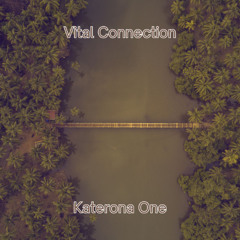Vital Connection( Demo Mix)