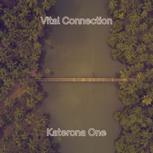 Vital Connection( Demo Mix)