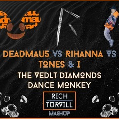 The Veldt Diamonds Dance Monkey (Rich Turvill Mashup)