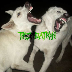 sleep, seep, breathe. (demo)