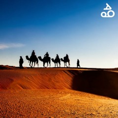 Best of C&Sbar (Part Two)