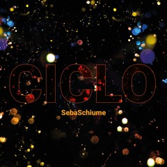 Seba Schiume - Ciclo
