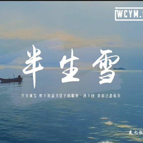 是七叔呢 - 半生雪「半生風雪 吹不散歲月留下的眼淚，換不回 青絲已盡成灰」【動態歌詞/pīn yīn gē cí】