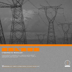 Cybernetic Modules