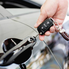 Vehicle Immobiliser