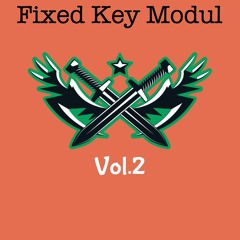 Fixed Key Modul, Vol. 2