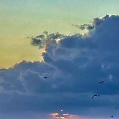 LES SAISONS ME COURSENT - Prod. 6ASTARD