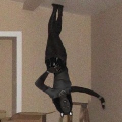 TOMEI METANOL NO CAFÉ DA MANHÃ