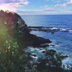 Coastal Calling