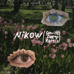 Nikow - Це не сплутаєш ні з чим (David Corgi Remix)
