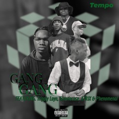 GANG GANG ( Feat. VARIOUS ARTISTS)