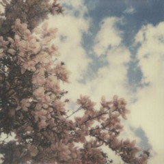 وَ يُنشِئُ السَّحَابَ الثِّقَالَ