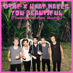 DTMF X WHAT MAKES YOU BEAUTIFUL (Francesco Stelloni Mashup) *PITCH -1*