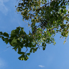 THE WORLD IS A PLACE (distract!ons bootleg remix)