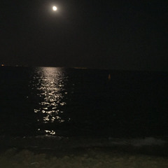 خسارة على العشرة