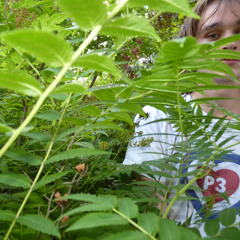 Jag föddes på natten