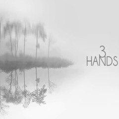 3 HANDS