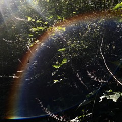 Integration ☼ Sonotherapy @ Isla Blanca