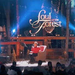CÔ ĐƠN TRÊN SOFA - Trung Quân Live Cover At Soul Of The Forest