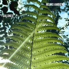 Neuro Ambient