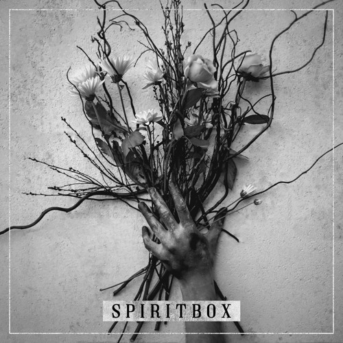 Stream Spiritbox | Listen to Spiritbox playlist online for free on  SoundCloud