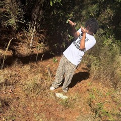 Snakes & Drakes (M4rzFTW + Arczi)