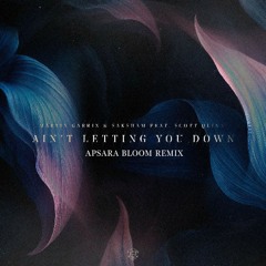 Ain't Letting You Down (Apsara Bloom Remix)
