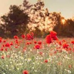 Nouveautés : Jazz et blues