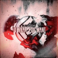 Svenergie - Do What You Want