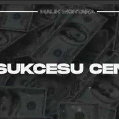 Malik Montana - Sukcesu Cena (Majki Bootleg).mp3